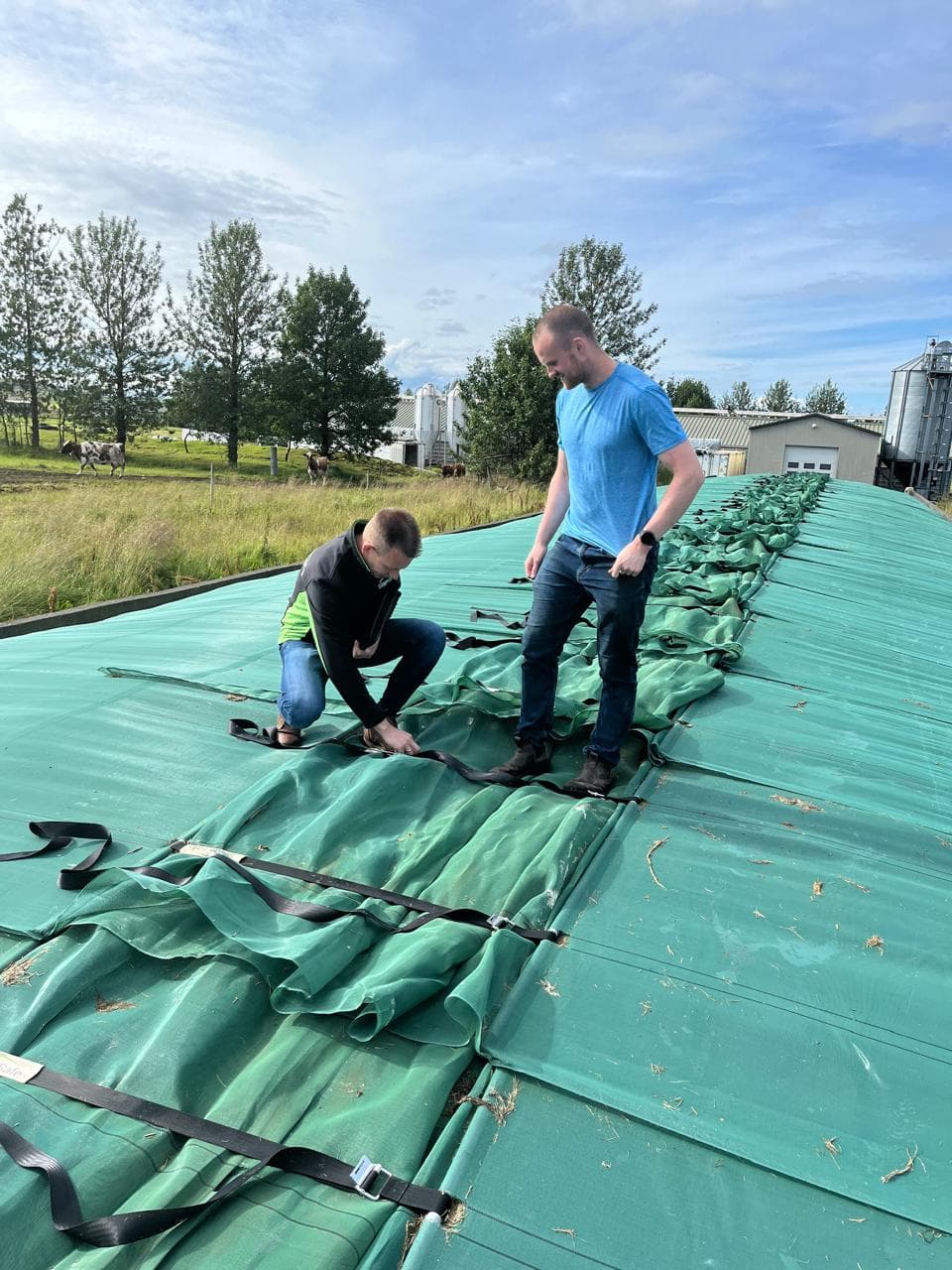 Silage Safe Stæðuyfirbreiðsla