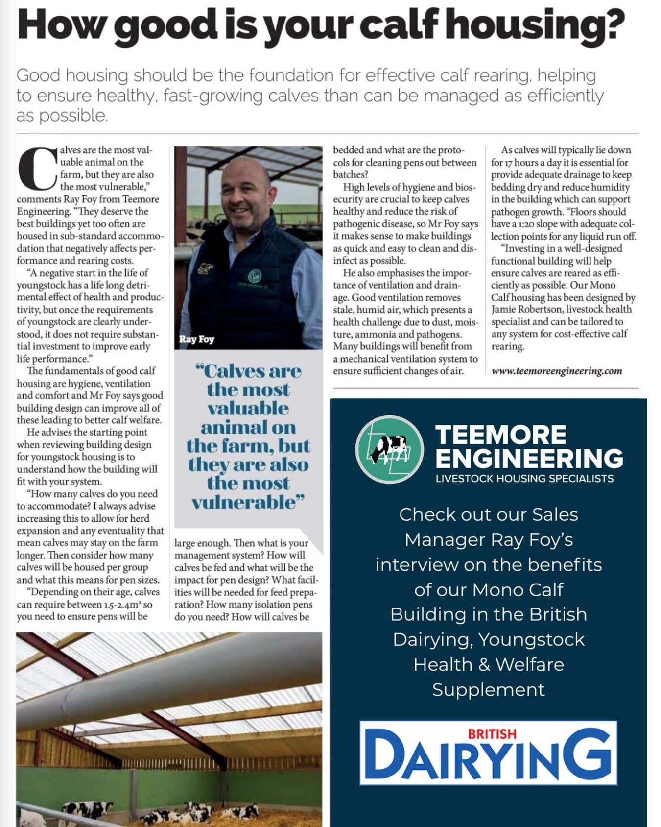 Innréttingar Kálfar og uppeldi